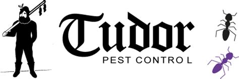 tudor pest control|tudor turf.